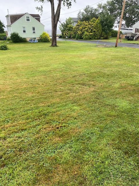 View from rear Northwest property line corner